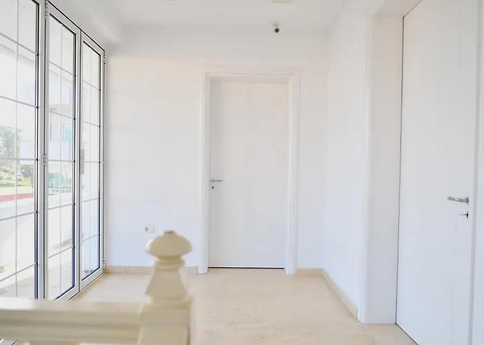 The White * Тирана